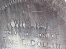 Willie,
son of F. & E. COLLIN,
born 6 March 1902,
died 1 July 1905;
Pimpama Island cemetery, Gold Coast