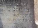 
Willie,
son of F. & E. COLLIN,
born 6 March 1902,
died 1 July 1905;
Pimpama Island cemetery, Gold Coast
