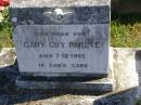 Gary Guy PAHLKE,
son,
died 7-12-1955;
Pimpama Island cemetery, Gold Coast