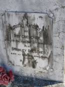 
Roy DRESCHER,
born 17 Feb 1925,
died 17 March 1925;
Stanley DRESCHER,
born & died 10 April 1926;
Pimpama Island cemetery, Gold Coast
