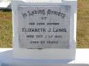 Elizabeth J. LAHRS,
mother,
died 25 July 1947 aged 65 years;
Pimpama Island cemetery, Gold Coast