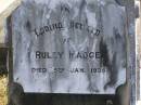
Ruley MADGE,
died 5 Jan 1935;
Pimpama Island cemetery, Gold Coast
