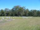 
Pimpama Island cemetery, Gold Coast
