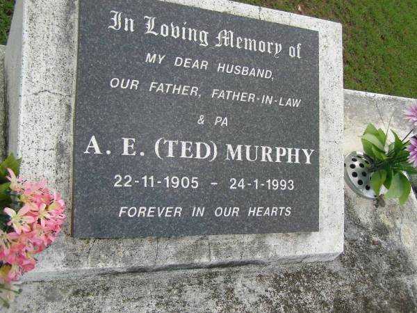 A.E. (Ted) MURPHY,  | 22-11-1905 - 24-1-1993,  | husband father father-in-law pa;  | Pimpama Uniting cemetery, Gold Coast  | 