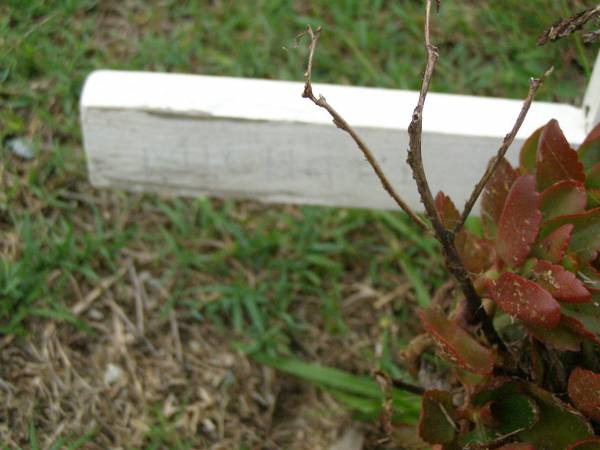 Michael John MCNAMARA,  | 13-03-1942 - 5-7-2002;  | Pimpama Uniting cemetery, Gold Coast  | 