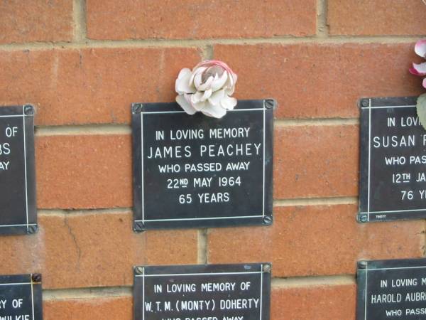 James PEACHEY,  | died 22 May 1964 age 65 years;  | Pimpama Uniting cemetery, Gold Coast  | 