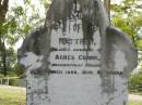 
Matthew,
husband of Agnes CLARK,
accidentally killed 30 March 1898 aged 40 years;
Pimpama Uniting cemetery, Gold Coast
