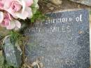
Myrtle MILES,
died 2-4-73 aged 60 years;
Kenneth MILES,
infant;
[REDO]
Pimpama Uniting cemetery, Gold Coast
