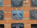 
Thelma Pansy Myrtle LOVE,
died 2 Oct 1985 aged 87 years;
Pimpama Uniting cemetery, Gold Coast
