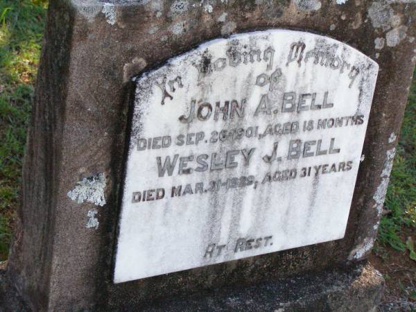 John BELL,  | died 26 Sept 1901 aged 18 months;  | Wesley J. BELL,  | died 21 Mar 1929 aged 31 years;  | Pine Mountain St Peter's Anglican cemetery, Ipswich  | 