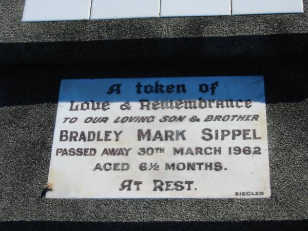 Bradley Mary SIPPEL  | 30 Mar 1962, aged 6 1/2 months  | Plainland Lutheran Cemetery, Laidley Shire  | 