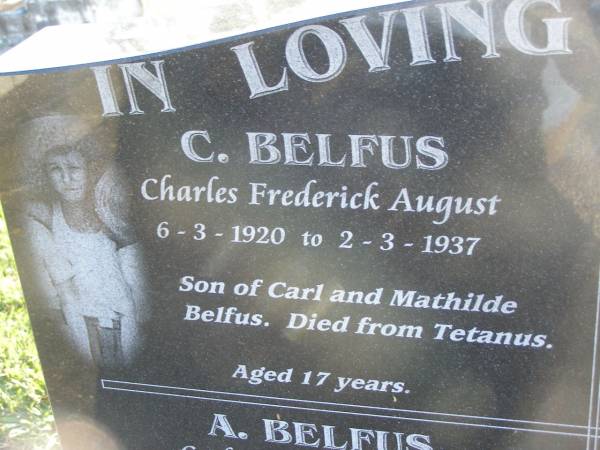 Charles Frederick BELFUS,  | 6-3-1920 - 2-3-1937 aged 17 years,  | son of Carl & Mathilde BELFUS;  | Carl August BELFUS,  | 11-2-1871 - 19-9-1954 aged 83 years,  | husband of Mathilde,  | father of Charles & Friedericka;  | Veronica Sibylle Agnes LINDEBERG,  | 16-5-1915 - 8-10-1937 aged 22 years,  | daughter of Arthur & Mathilde LINDEBERG;  | Mathilde Wilhelmine Louisa BELFUS,  | 29-4-1879 - 14-6-1950 aged 71 years,  | daughter of Henry & Wilhelmine PROVE,  | wife of Arthur LINDEBERG & Carl BELFUS,  | mother of 9 children;  | Polson Cemetery, Hervey Bay  | 