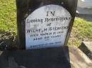 
Wilhelm STEBHENS,
died 31 March 1910 aged 56 years,
Polson Cemetery, Hervey Bay
