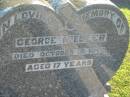 
George NIESLER,
died 13 Oct 1948 aged 17 years;
Polson Cemetery, Hervey Bay
