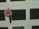
Hilma Dorothy GUSE,
died 1-1-1994 aged 80 years;
Polson Cemetery, Hervey Bay
