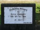 
Sylv. CHIDGEY,
died 10 Oct 1950,
remembered by John, mum & dad;
Polson Cemetery, Hervey Bay
