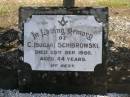 
C. (Sugar) SCHIBROWSKI,
died 25 Sept 1950 aged 44 years;
Polson Cemetery, Hervey Bay
