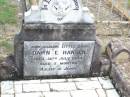 
Dawn E. HANSEN, baby,
died 30 July 1944 aged 7 months;
Ropeley Immanuel Lutheran cemetery, Gatton Shire
