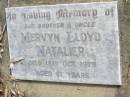 
Mervyn Lloyd NATALIER, brother uncle,
died 18 Oct 1979 aged 61 years;
Ropeley Immanuel Lutheran cemetery, Gatton Shire
