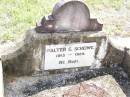 
Walter C. SCHEIWE, 1913 - 1929;
Ropeley Immanuel Lutheran cemetery, Gatton Shire
