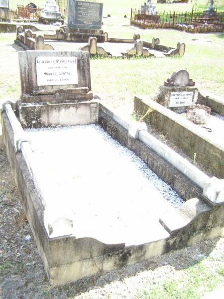 Walter GUSTAV, son, aged 23 years;  | Ropeley Immanuel Lutheran cemetery, Gatton Shire  | 