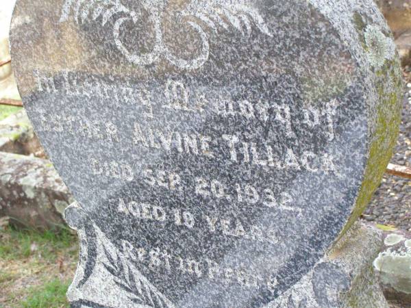 Esther Alvine TILLACK,  | died 20 Sept 1932 aged 19 years;  | Ropeley Immanuel Lutheran cemetery, Gatton Shire  | 