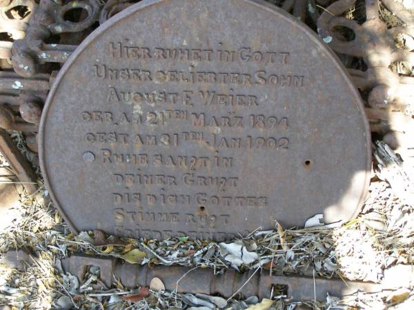 August F. WEIER, son,  | born 21 March 1894 died 31 Jan 1902;  | Ropeley Scandinavian Lutheran cemetery, Gatton Shire  | 