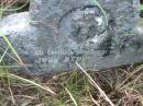 John REDDY senior,
born County Kilkenny Ireland,
died 3 Mar 1902 aged 87 years;
Rosevale St Patricks Catholic cemetery, Boonah Shire