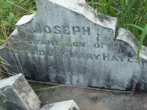 Joseph, infant son of Edward & Mary HAYES;  | Rosevale St Patrick's Catholic cemetery, Boonah Shire  | 