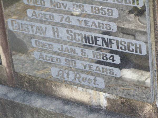 parents;  | Elizabeth SCHOENFISCH, ,  | died 28 Nov 1959 aged 74 years;  | Gustav H. SCHOENFISCH,  | died 5 Jan 1964 aged 90 years;  | Rosevale St Paul's Lutheran cemetery, Boonah Shire  | 