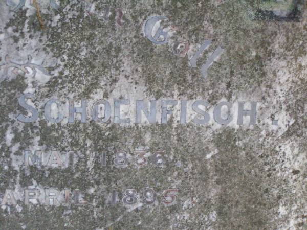 Ferdinand SCHOENFISCH,  | born 6 May 1836,  | died 2 April 1895;  | Rosevale St Paul's Lutheran cemetery, Boonah Shire  | 