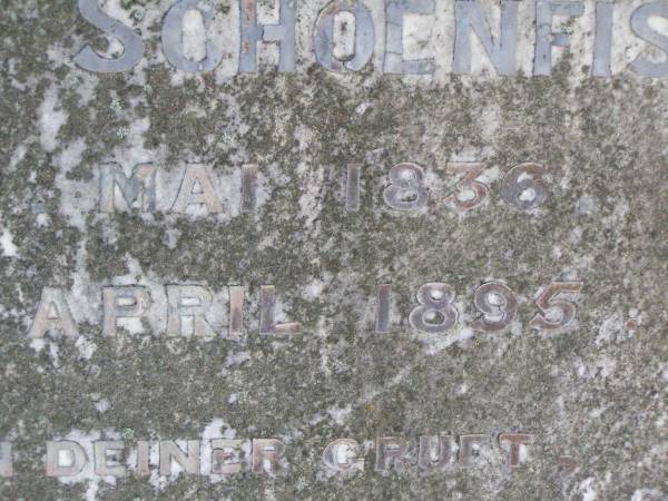 Ferdinand SCHOENFISCH,  | born 6 May 1836,  | died 2 April 1895;  | Rosevale St Paul's Lutheran cemetery, Boonah Shire  | 