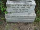 David MCLAUGHLIN, died 23 June 1899 aged 74 years; Hannah, wife, died 26 July 1900 aged 69 years;  Rosevale Methodist, C. Zahnow Road memorials, Boonah Shire  