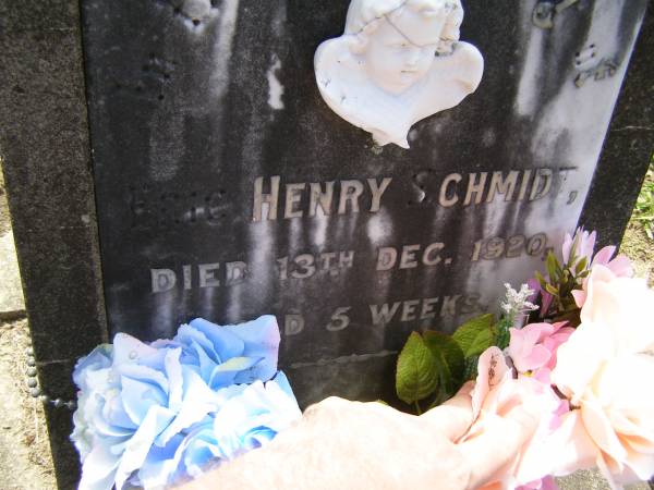 Eric Henry SCHMIDT,  | died 13 Dec 1920 aged 5 weeks;  | Samsonvale Cemetery, Pine Rivers Shire  | 