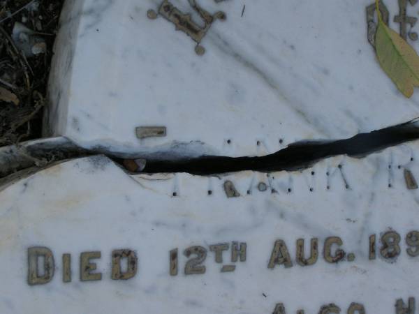 Frank RAYMOND,  | died 12 Aug 1891 aged 46 years;  | Elizabeth,  | wife,  | died 22 Feb 1908 aged 59 years;  | children;  | William Stanwell,  | died 11 July 1897 aged 27 years;  | Victor Deagon,  | died 26 April 1882 aged 18 months;  | Edith Gladys,  | died 14 April 1886 aged 18 months;  | Elizabeth,  | relict of William RAYMOND,  | of Weston Dorset England,  | mother of Frank RAYMOND,  | born 23 April 1823,  | died 23 Aug 1914?;  | Millicent RAYMOND,  | died 2 July 1931 aged 63 years;  | Catherine Ann,  | wife of William GIRLING,  | died 14 Nov 1865 aged 21 years;  | Mary Smith DEAGON,  | died 27 Nov 1866 aged 20 years;  | Bald Hills (Sandgate) cemetery, Brisbane  |   | 