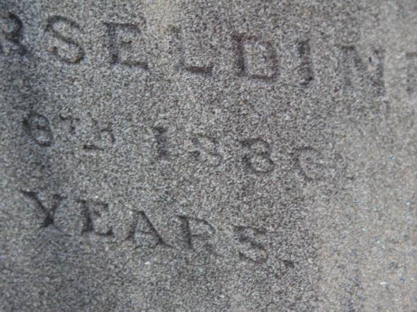 James CARSELDINE,  | died 2 March 1902 aged 57 years;  | Janet CARSELDINE,  | wife,  | died 28 Dec 1907 in 59th year;  | Arthur Edwin CARSELDINE,  | died 14 July 1908 aged 21 years 2 months;  | Eva CARSELDINE,  | sister,  | died 25 July 1942 aged 61 years;  | Mary Ann CARSELDINE,  | born 6 June 1812,  | died 18 Sept 1880 aged 68 years;  | William CARSELDINE,  | died 6 July 1886 aged 70 years;  | Bald Hills (Sandgate) cemetery, Brisbane  | 