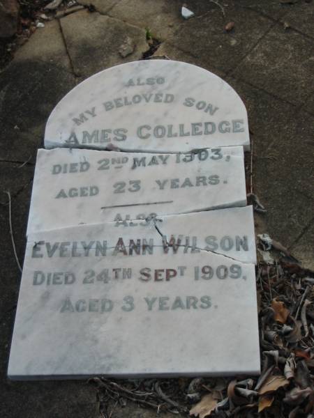 James WILSON,  | father,  | died 2 Feb 1902 aged 47 years;  | Jane Colledge,  | mother,  | died 26 Jan 1932 aged 78 years;  | James Colledge,  | son,  | died 2 May 1903 aged 23 years;  | Evelyn Ann WILSON,  | died 24 Sept 1909 aged 3 years;  | Gertrude Jane,  | wife of Arthur CRUSE,  | died ?? Oct 1905 aged ?3 years;  | Evelyn WILSON,  | died 25 Nov 1909? aged 22 years;  | Bald Hills (Sandgate) cemetery, Brisbane  | 