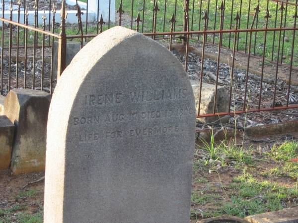 Irene WILLIAMS,  | born 17 Aug 1896?,  | died 19 Aug? 1896;  | Bald Hills (Sandgate) cemetery, Brisbane  | 