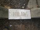 Hillary (Hilly) Mark TURNER, died 8 Jan 1939 aged 19 years; Bald Hills (Sandgate) cemetery, Brisbane 