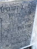 Elma Rose SHEPPARD, born 25-10-27, died 20-1-56; William Alfred SHEPPARD, born 1-1-22, died 5-9-90; Bald Hills (Sandgate) cemetery, Brisbane 