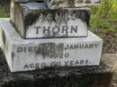 Agnes THORN, died 10 Jan 1920 aged 60 years; Bald Hills (Sandgate) cemetery, Brisbane 