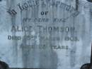 Alice THOMSON, wife, died 23 March 1903 aged 28 years; Bald Hills (Sandgate) cemetery, Brisbane 