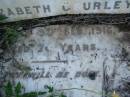 
David,
husband of Elizabeth GOURLEY,
died 9 Feb 1916 aged 70 years;
Bald Hills (Sandgate) cemetery, Brisbane
