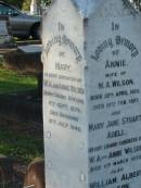 Annie, wife of W.A. WILSON, born 22 April 1855, died 10 Feb 1927; Mary Jane Stuart ABELL, infant granddaughter of W.A. & Annie WILSON, died 11 March 1933; William Albert WILSON, born Barnsley Yorkshire England 7 Nov 1855, died Sandgate 24 June 1943; Mary, eldest daughter of W.A. & Annie WILSON, born Tarong Station 6 Sept 1879, died Brisbane 12 July 1949; Evelyn A. WILSON, daughter of W.A. & A. WILSON, 1884 - 1986; Alice, wife of Harold B. WILSON, died 20 July 1936 aged 35 years; Bald Hills (Sandgate) cemetery, Brisbane 