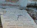 Joseph CARSELDINE, born 13 Oct 1855, died 5 June 1919; Harold Edwin CARSELDINE, son, killed in action Gallipoli 8 Oct 1915 aged 23 years; Vernon David CARSELDINE, son, drowned surfing Bribie 2 April 1920 aged 23 years; Sarah Agnes CARSELDINE, wife mother, died 16 Aug 1929 aged 73 years; Bald Hills (Sandgate) cemetery, Brisbane 
