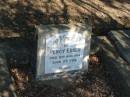 
Percy Edser died 12 Aug 1914 aged 26
Anglican Cemetery, Sherwood.

