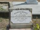 Violet Margaret Ellen (Peggy) DUNN
7 Apr 1924 aged 11
Sherwood (Anglican) Cemetery, Brisbane