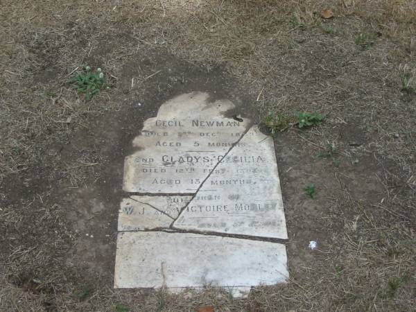 Cecil Newman  | died 2 Dec 1889? aged 5 months  | Gladys Cecilia  | Died 12 Feb 1892 aged 13 months  | children of  | W J and Victoire Morley  |   | Sherwood (Anglican) Cemetery, Brisbane  | 