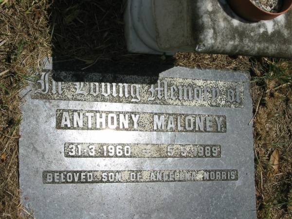 Anthony Maloney  | 31-3-1960 ~ 5-5-1989  |   | Sherwood (Anglican) Cemetery, Brisbane  | 