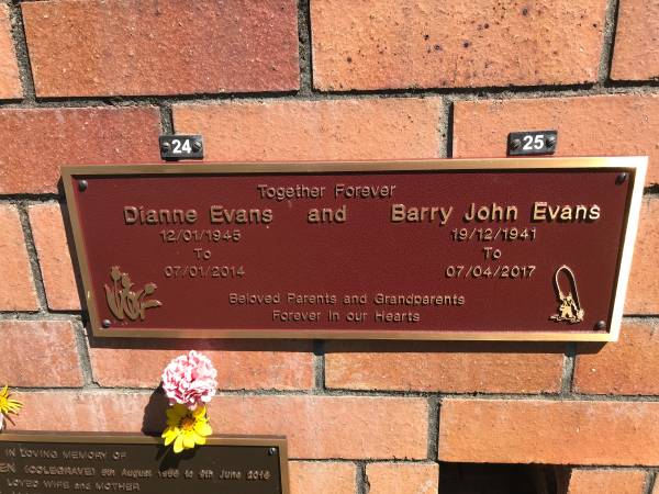 Dianne EVANS  | b: 12 Jan 1945  | d: 7 Jan 2014  |   | Barry John EVANS  | b: 19 Dec 1941  | d: 7 Apr 2017  |   | Sherwood (Anglican) Cemetery, Brisbane  |   | 